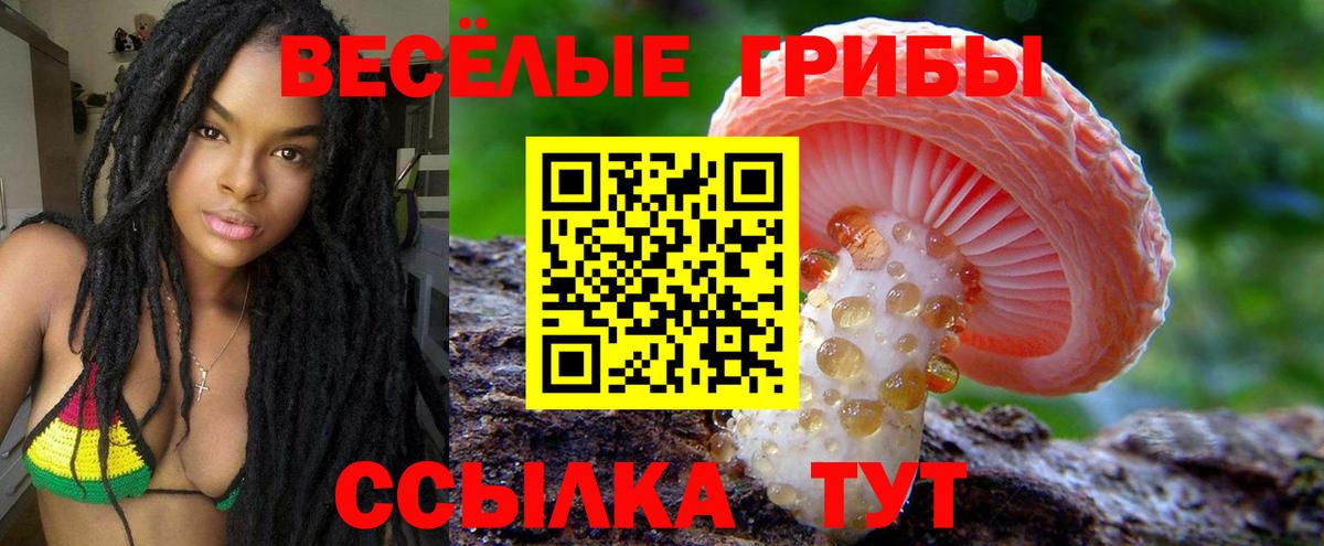 Галлюциногенные грибы Cubensis  Вход с VPN  Сухой Лог 